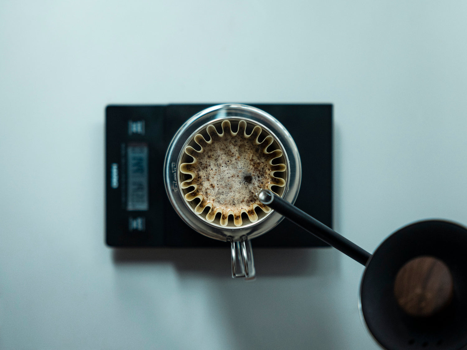 How to brew with Kalita Wave by kurasu.live 2023