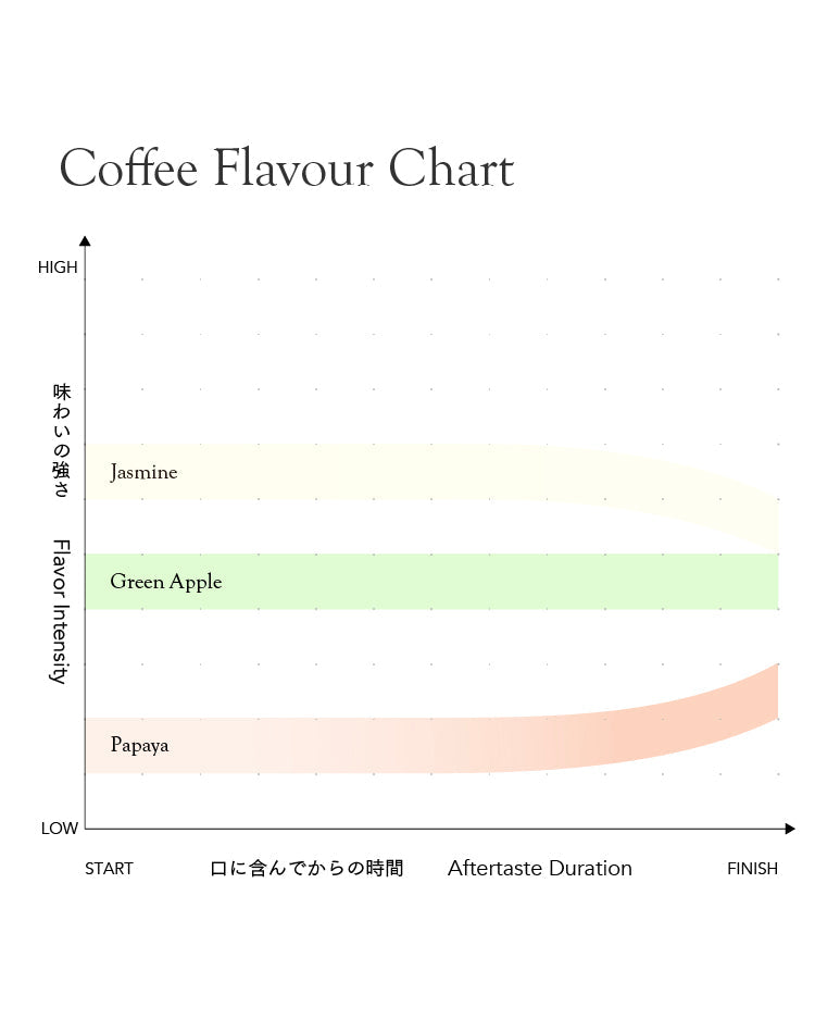 [Premium]Ecuador Leopoldo Andrade[Light roast]