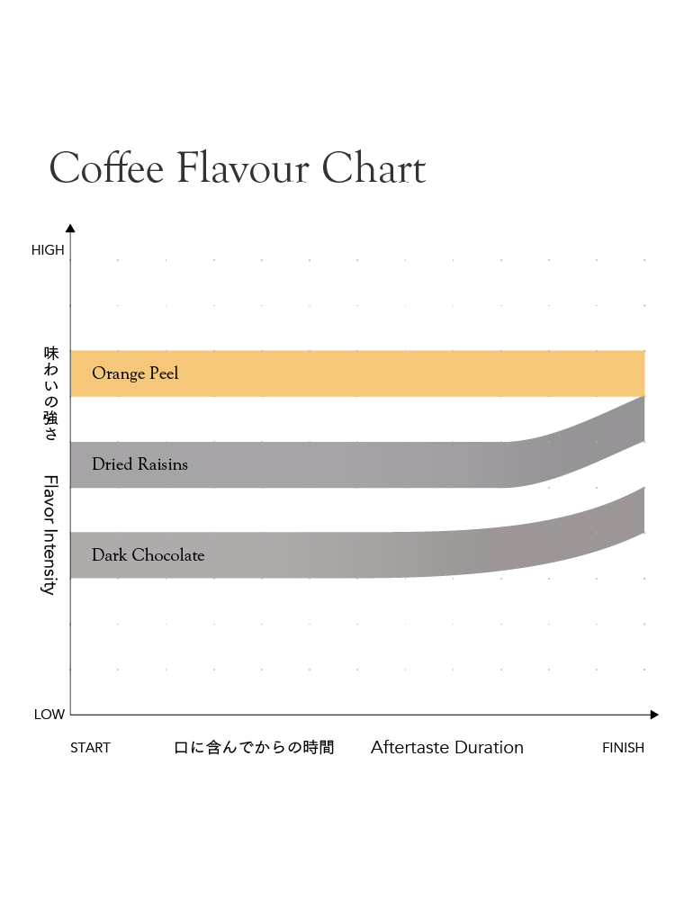 Cold Brew FAF Dark [Dark Roast]