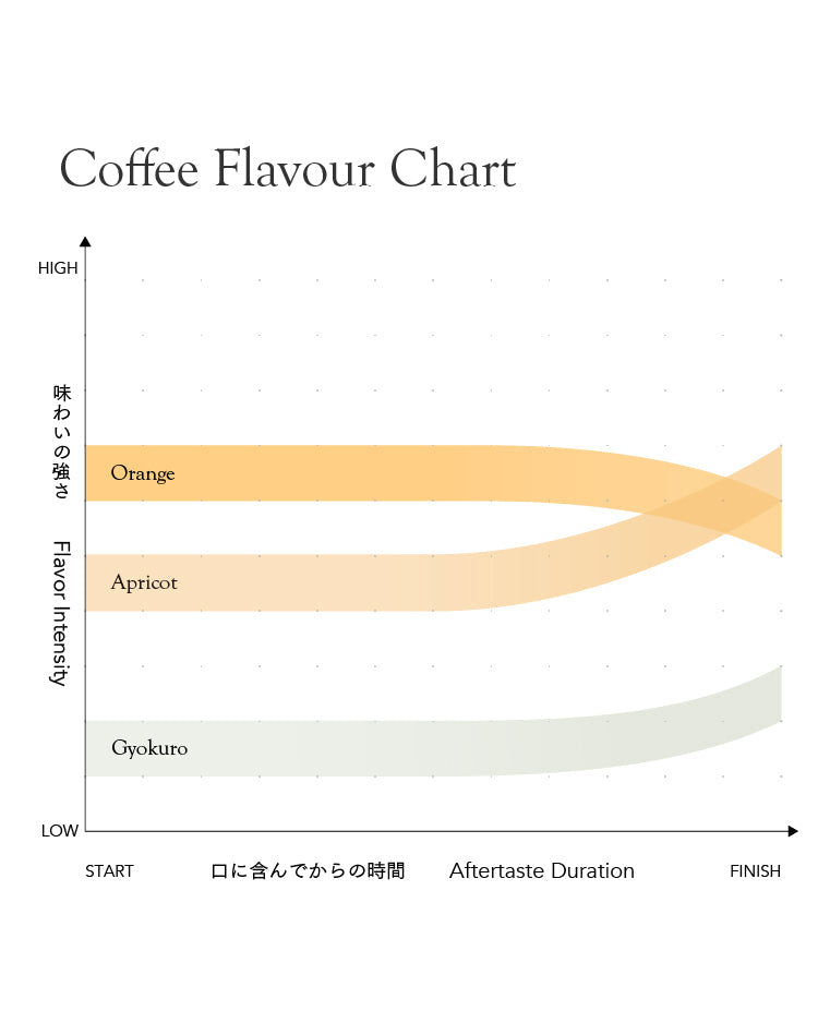 Honduras Norman Castellanos [Light Roast]