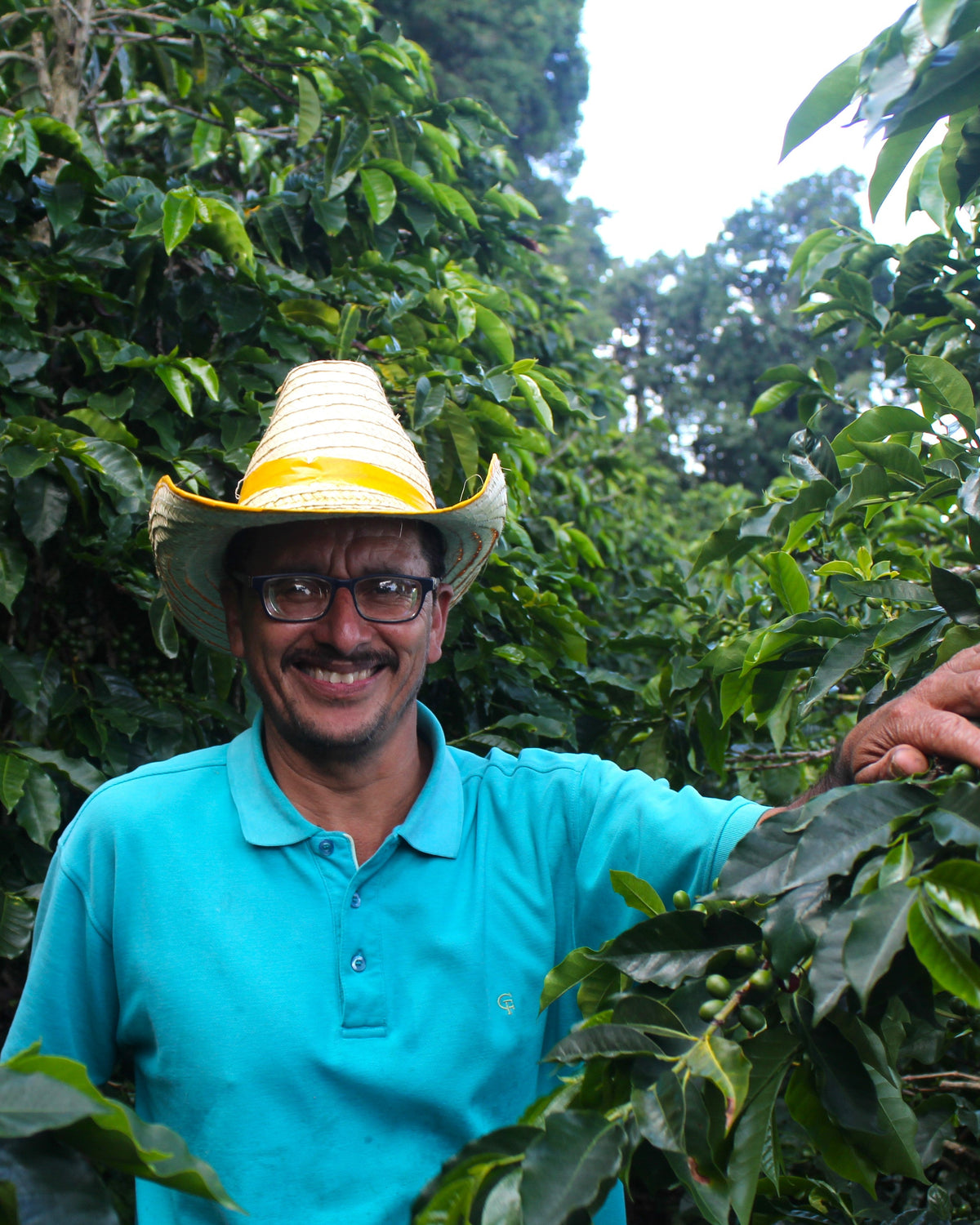 Honduras Norman Castellanos [Light Roast]