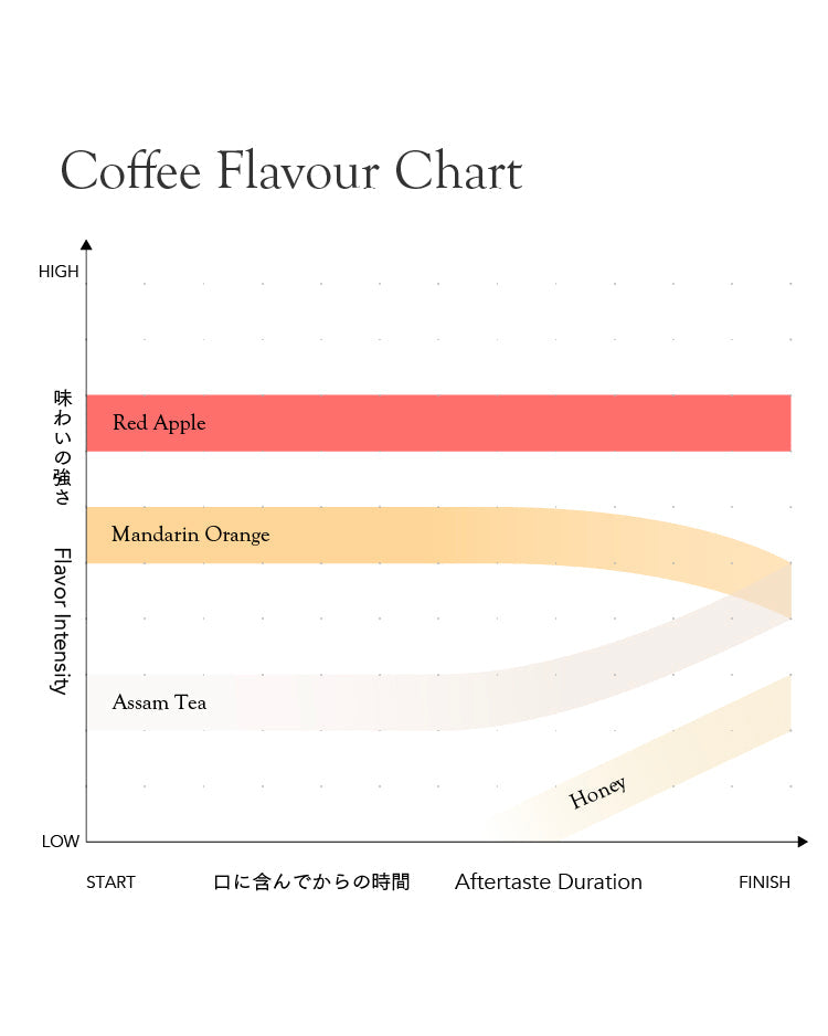 Kurasu Drip Coffee Bag - Rwanda Mbilima Soil Project Lot.0704 [Light roast]